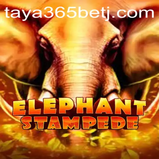 Explore the Exciting World of ElephantStampede with Taya365 Bet