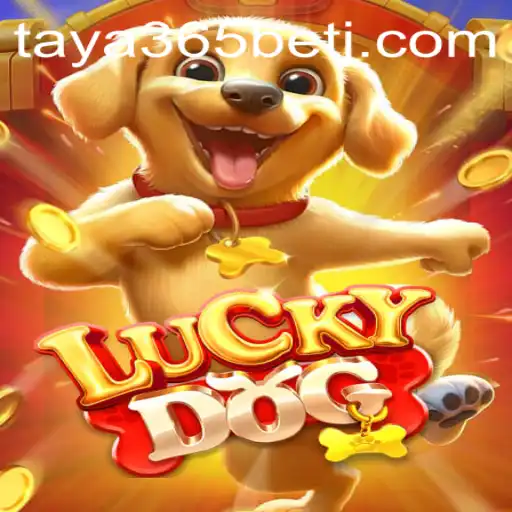 Exploring LuckyDog: A Comprehensive Guide to the Game with Insights into Taya365 Bet